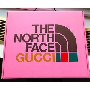 Brand New Medium Gucci x North Face Carrying Box